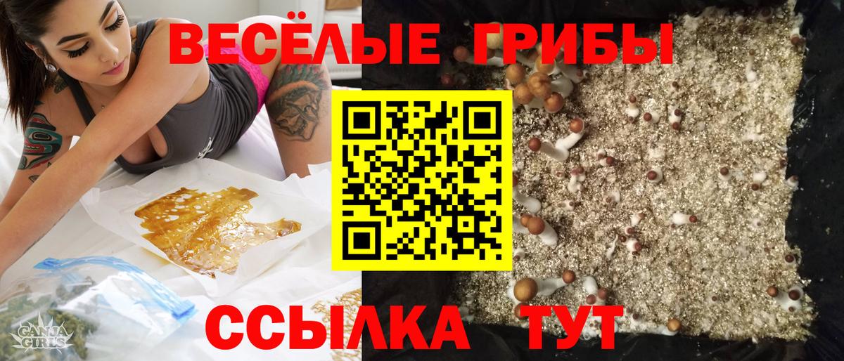 Псилоцибиновые грибы прущие грибы  цена наркотик  Слободской  Вход с VPN  Галлюциногенные грибы ЛСД 